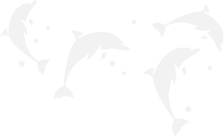 dolphins-bg-hillarys-primary